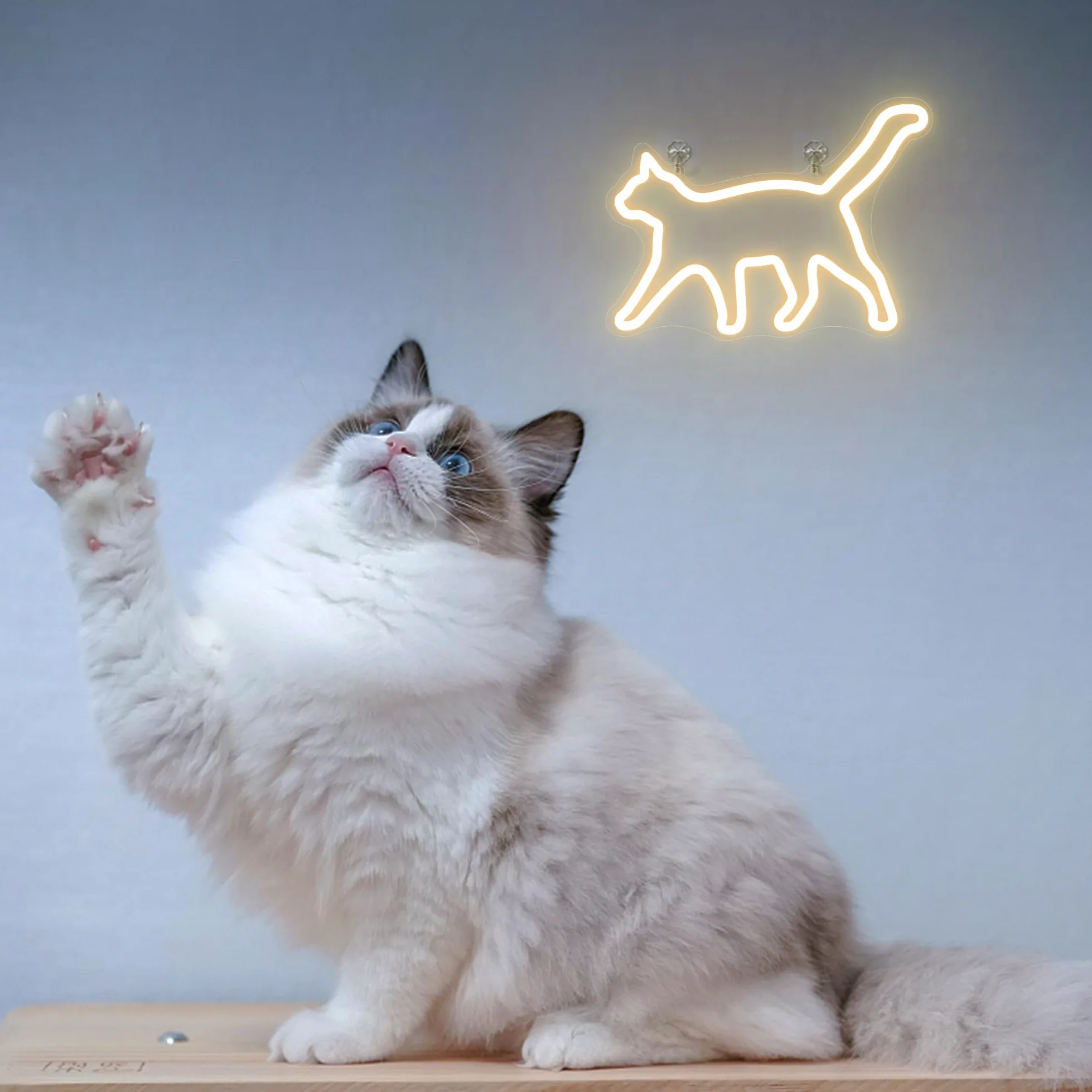 CoolGift Mart Cat Neon Sign, Cat Lamp Wall Decor, Dimmable Birthday Party Decorations for Home, Patio, Garden, Bar, Ristoranti, Hotel, Negozi, Club, Regalo per Amici, Famiglia e Bambini