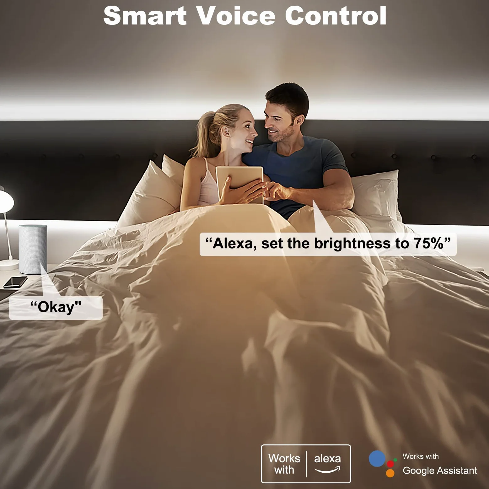 Tatazone Striscia LED COB WiFi da 5 m, 6500 K, con app e telecomando, compatibile con Alexa e Google, dimmerabile, luce bianca fredda, per interni, per scale, cucina, armadio