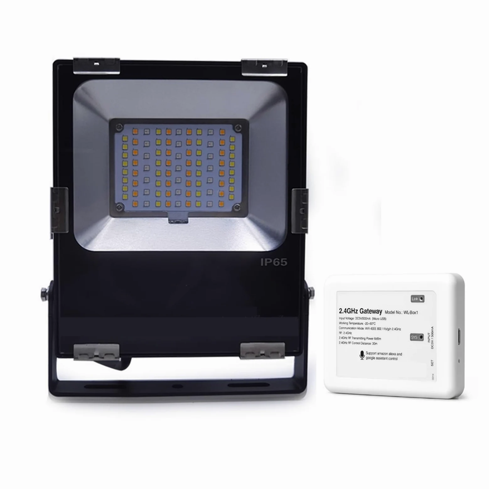 30W RGB CCT AC86-265V Smart LED Proiettore Impermeabile Esterno 2.4G Wireless WiFi APP Controllo Vocale(FUTT03 with WL Box)