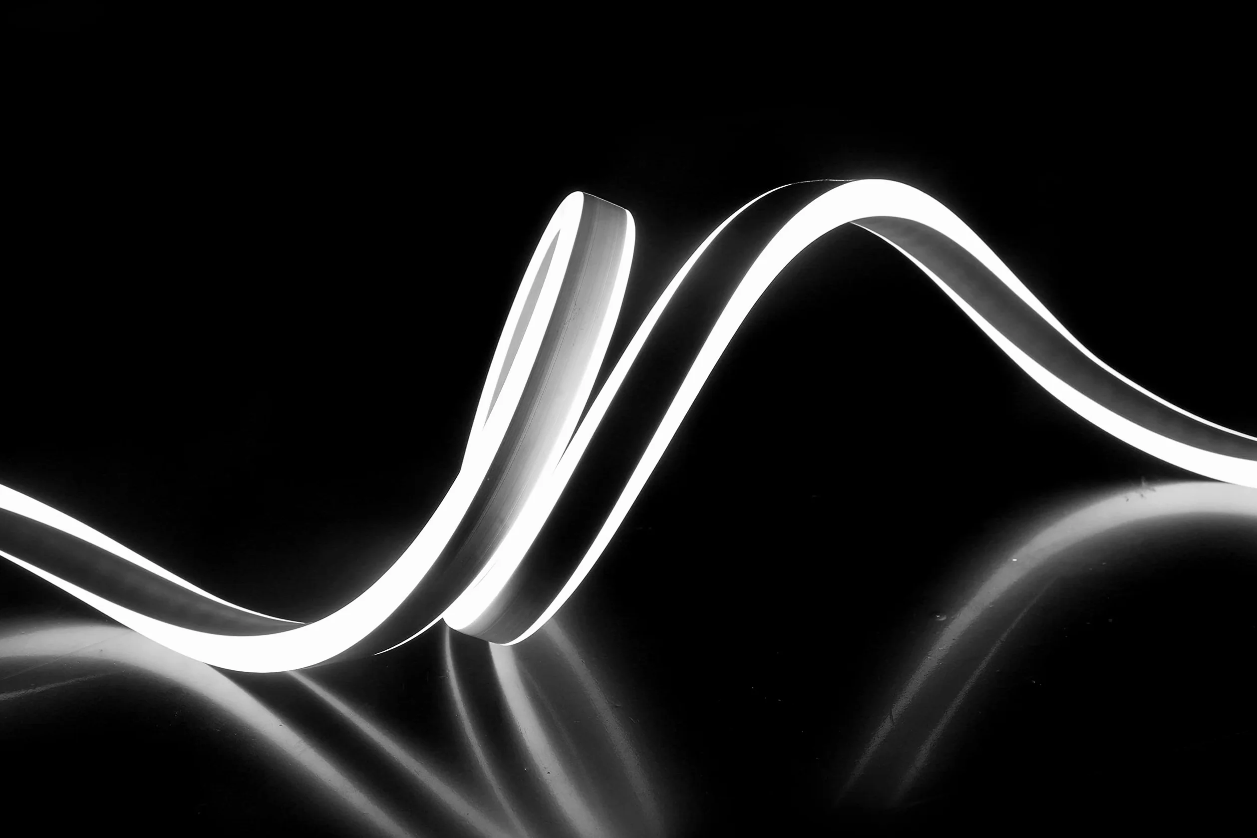Profi Serie- LED neon flex Striscia di luce 50m esterno e interno, bianco freddo 6500K, dimmerabile, 220V-240V, strip, impermeabile, flessibile. per edifici, negozi, progetti, decorazione