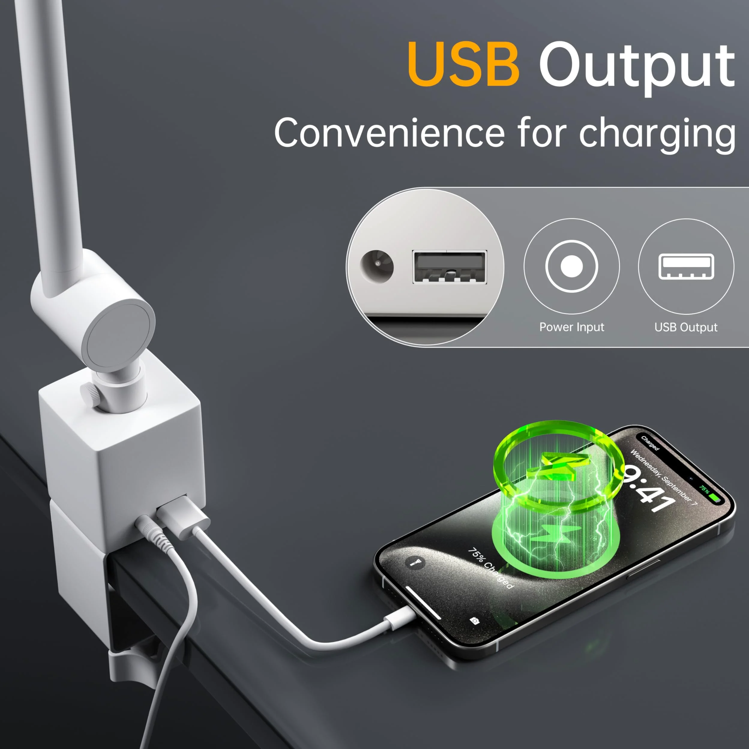 deeloop Lampada da tavolo a LED lunga oscillante a 2 bracci con morsetto, CRI 95+ Luce attenta agli occhi, uscita di ricarica USB, timer di 2 ore, lampada da scrivania dimmerabile con memoria, lampade