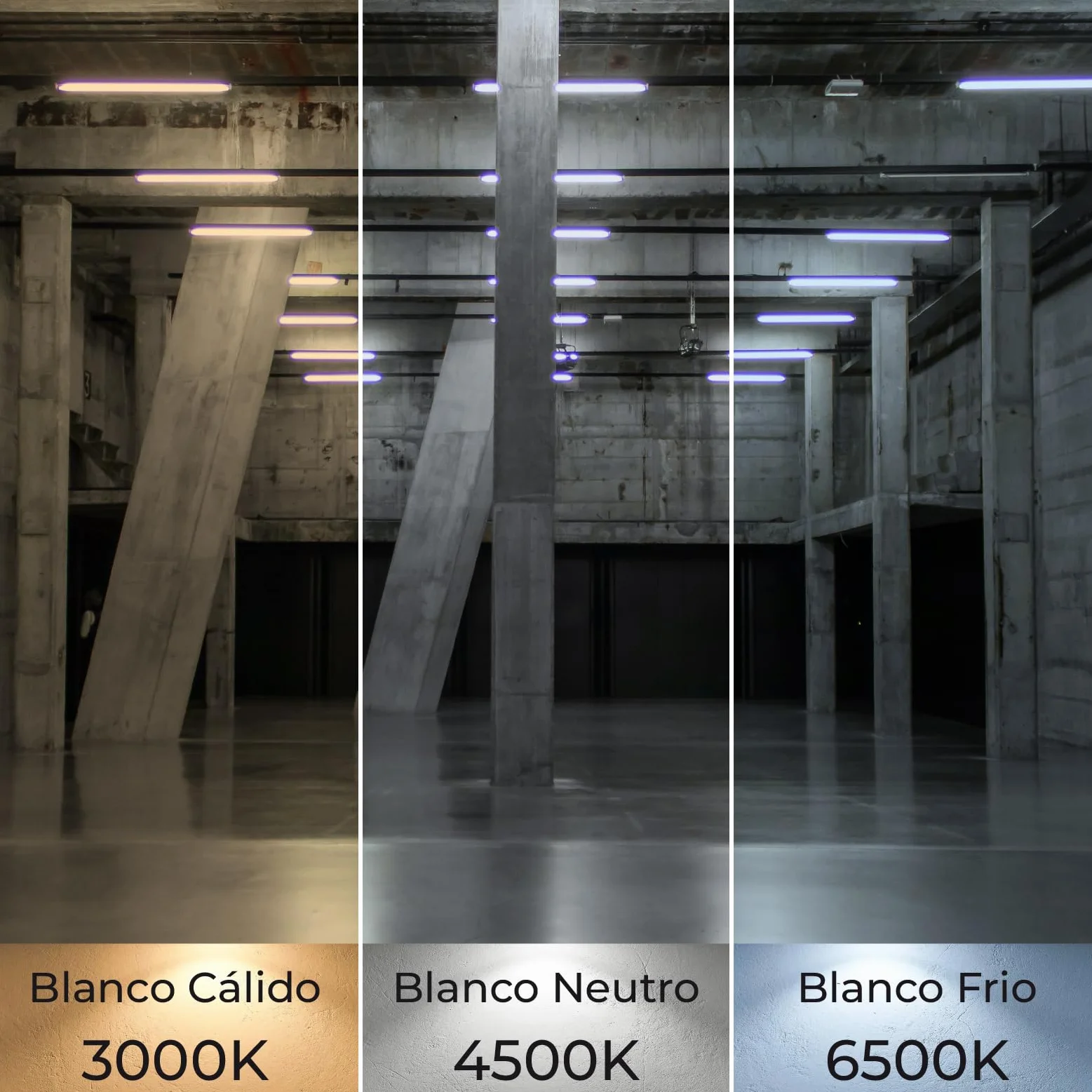 LED ATOMANT Confezione da 10 Tubo LED 150cm 24W, CCT (Selettore di Colore Bianco Caldo, Neutro e Freddo), 2900 Lumen, Started LED Incluso, Standard T8