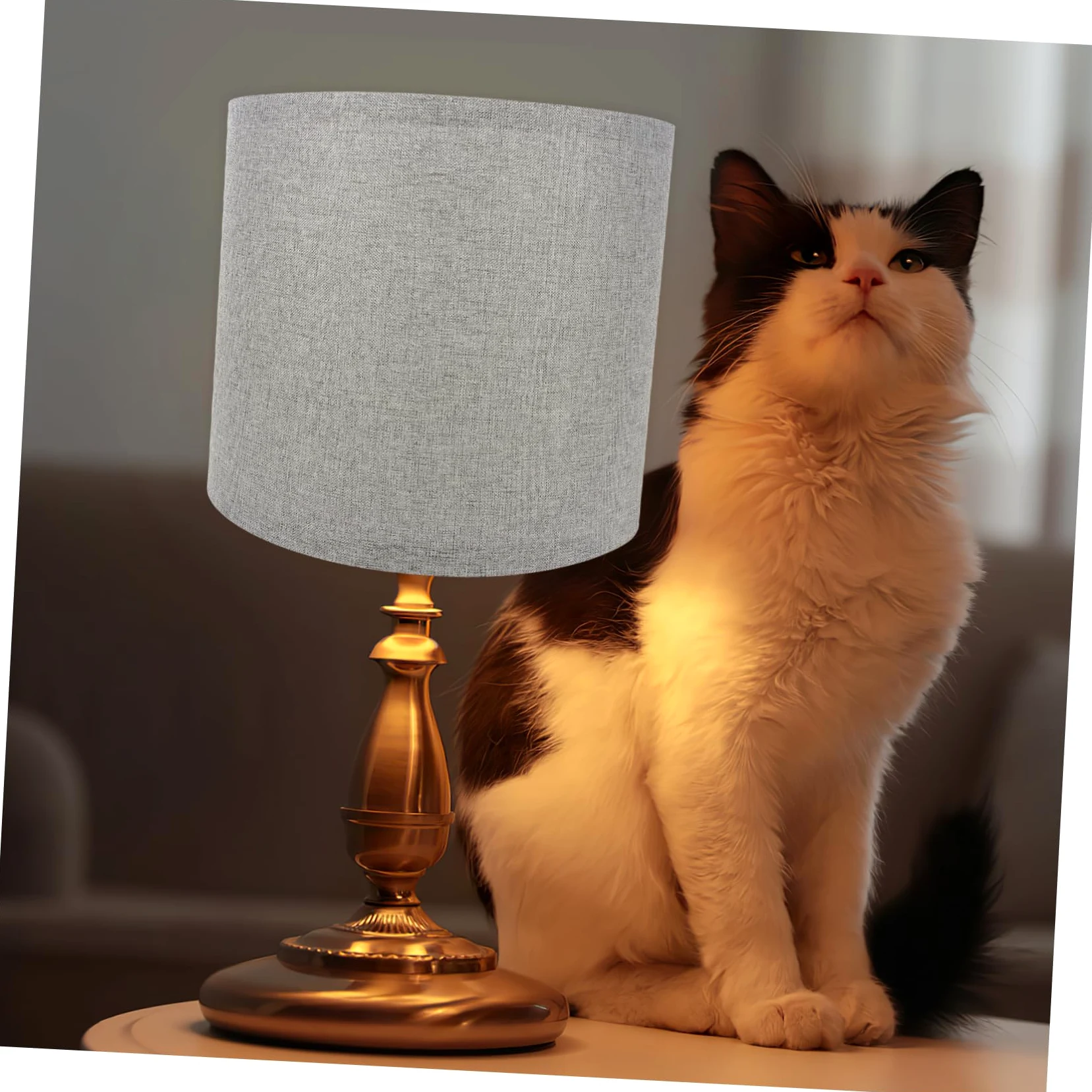 Uonlytech 2 Paralumi in Lino per Lampade da Tavolo e Terra, Luce Morbida, Design Smontabile, per Casa e Hotel