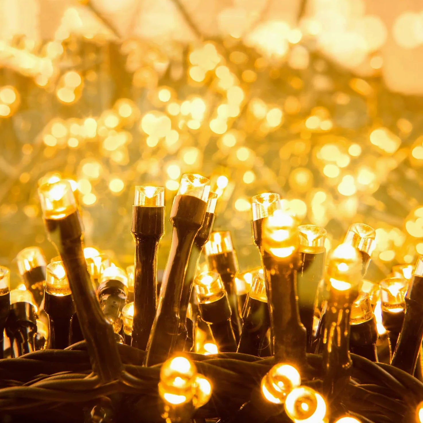 Quntis Luci di Natale da Esterno, 50M 2000 Led Luci Albero di Natale con 8 Modalità, Ip44 Luci Natalizie per Esterno Interno Casa Feste, Bianco Caldo